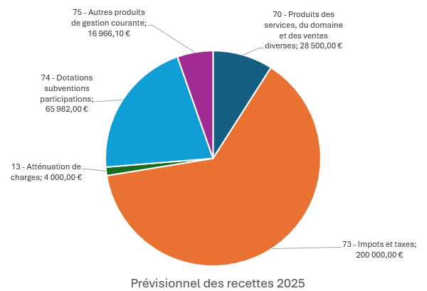 Recettes Budget de recettes 2025